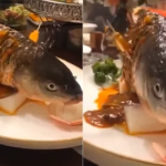 O Cruel Modo de Preparo de Peixe Que Chocou a Internet