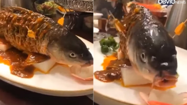 O Cruel Modo de Preparo de Peixe Que Chocou a Internet