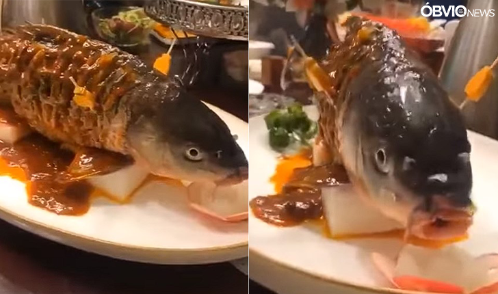 O Cruel Modo de Preparo de Peixe Que Chocou a Internet