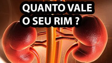 Quanto custa um RIM ? Saiba os valores do orgãos no Mercado Negro