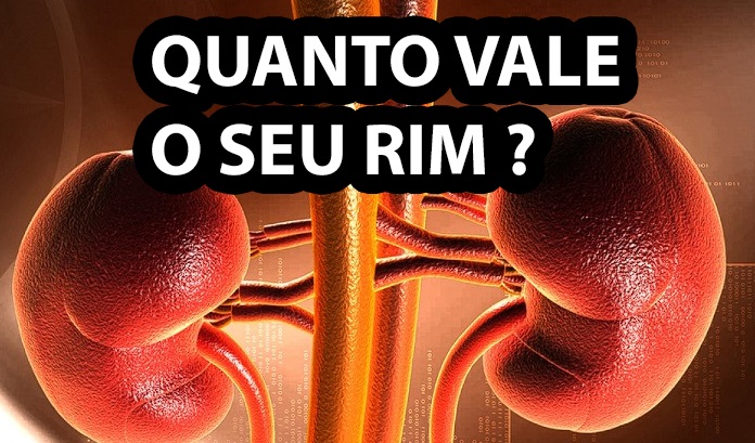 Quanto custa um RIM ? Saiba os valores do orgãos no Mercado Negro