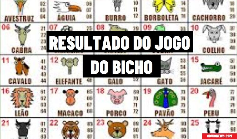 Bichos Do Jogo Do Bicho Resultado: Promoções