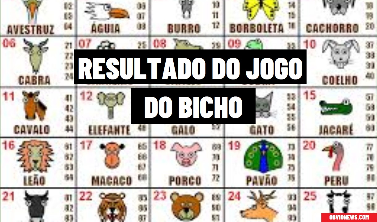 Resultados do jogo do bicho: como são feitos, quando e onde